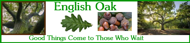 English Oak