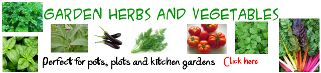 Herbs and Vegegatables