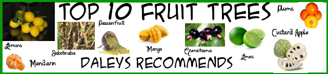Top 10 Fruit Trees
