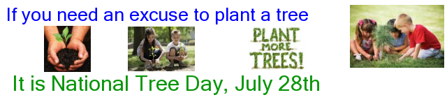 Tree Day - native tree