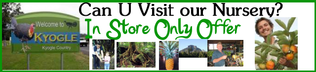 Can U visit our nursery. In store only Offer.