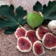 White Adriatic fig peeled and sliced