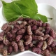 Mulberry Angela