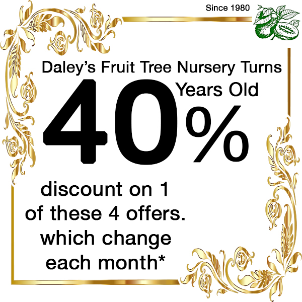 Daleys Fruit is Turning 40 Years Old