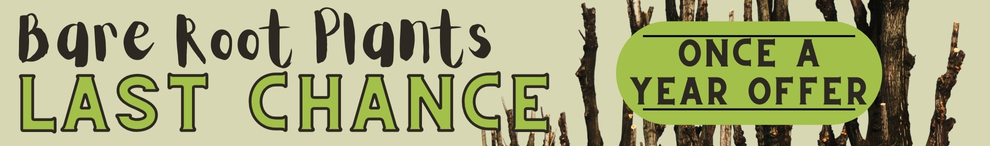 Fruit Trees, Plants Australia - Daleys Fruit Tree Nursery