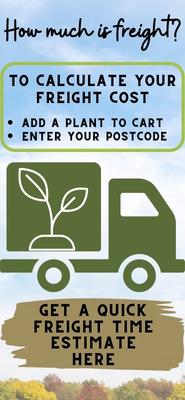 Calculate your freight online by entering your postcode after adding a plant to your shopping cart