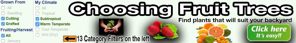 choosing fruit trees