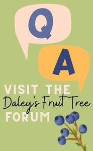 Daleys Fruit Tree Forum
