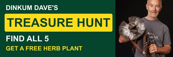 Dinkum Dave’s Treasure Hunt: find all five and receive a free herb plant