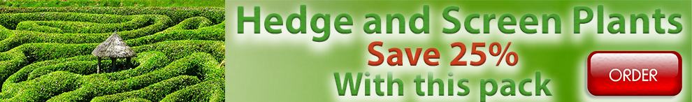 Hedge and Screen Pack