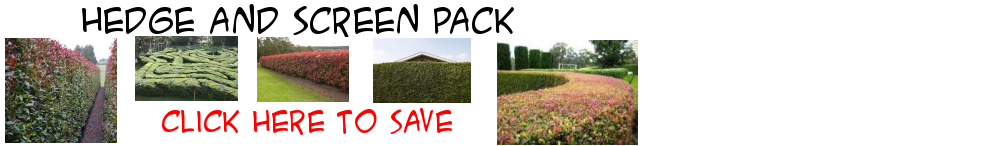 Hedge and Screen Pack
