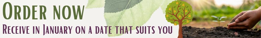 Last Chance Christmas