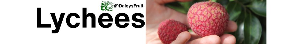 Lychee Fruit Trees
