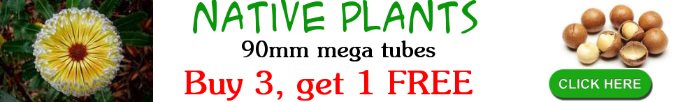 Native MT buy 3 get 1 FREE