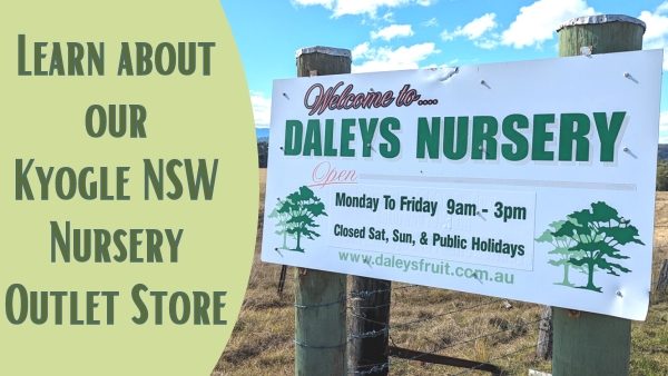 Visit Daleys Fruit Tree Nursery Outlet Store