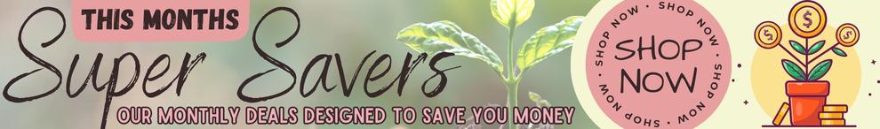 Promo Codes
