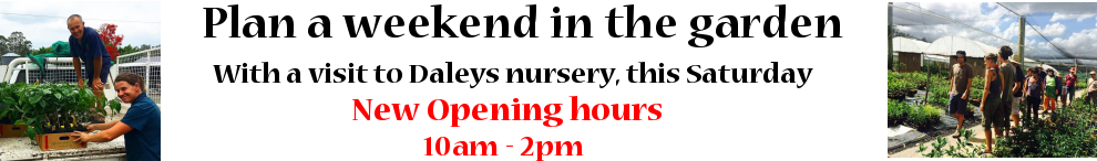 Saturday opening time