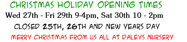 Christmas Opening Hours