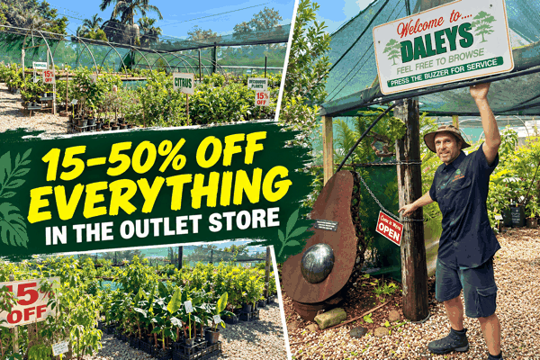 Tour Daleys Fruit Tree Nursery Open Day