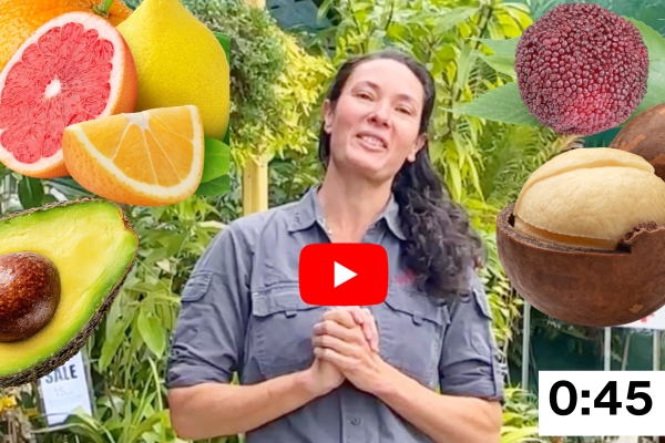 YouTube: Visit us this ekka weekend