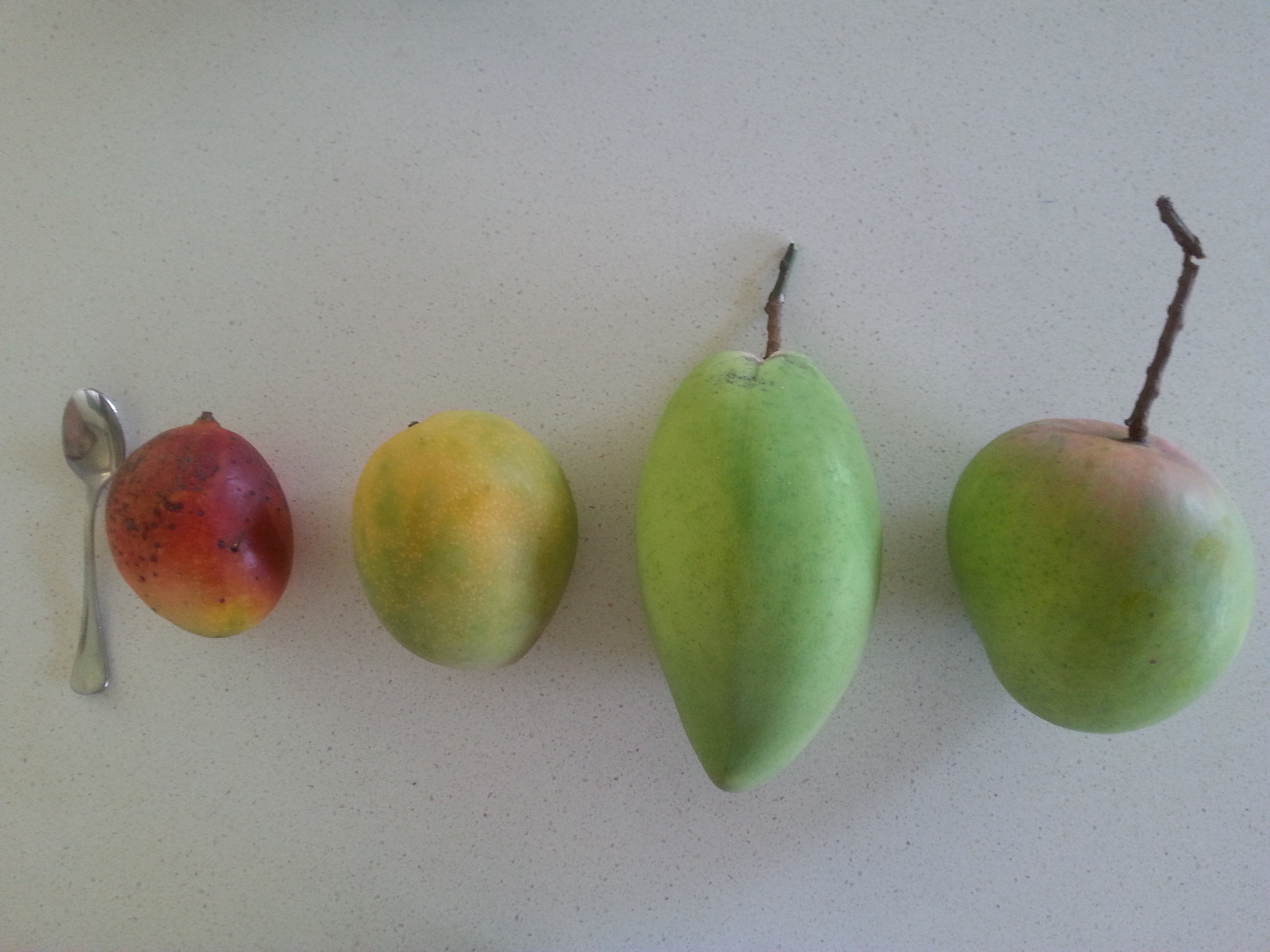 Forum: A Tale of 4 Mangoes