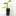 Chaya+-+Spinach+Tree+For+Sale
