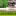 Chemjet+Injector+used+for+Avocado+trees+to+inject+trunks+with+root+rot+treating+fungicide