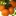 Mandarin+Fruit+growing+on+Tree+By+vijay+chennupati+%5BCC+BY+2.0+%28https%3A%2F%2Fcreativecommons.org%2Flicenses%2Fby%2F2.0%2F%29%5D+via+Flickr+https%3A%2F%2Fflic.kr%2Fp%2F8dcnjH