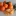 Mandarin+Freemont+By+DaleysFruit.com.au+%5BAll+Rights+Reserved%5D