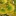 Ginkgo+By+DaleysFruit.com.au+%5BAll+Rights+Reserved%5D