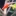 Goji+Vine+Fruiting+brigh+elongated+orange+to+red+berries+By+DaleysFruit.com.au+%5BAll+Rights+Reserved%5D