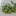 Hardy+Kiwi+Fruit+By+DaleysFruit.com.au+%5BAll+Rights+Reserved%5D