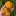 Ripe+Lakoocha+Fruit+in+hand