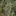 Old+Man+Saltbush+in+early+Adelaide+Witner