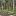 Flindersia+brayleyana+Queensland+Maple+QLD+By+Forest+Starr+and+Kim+Starr+%5BCC+BY-SA+3.0++%28https%3A%2F%2Fcreativecommons.org%2Flicenses%2Fby-sa%2F3.0%29%5D%2C+via+Wikimedia+Commons