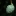Immature+rollinia+developing+on+stem