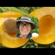 YouTube on the bentley Apricot Fruit Tree