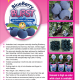 Blueberry Burst Promotional page plant descriptor
