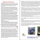 Blueberry Burst Plant Care Information Sheet