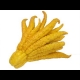 Buddhas Hand Fruit Tree Video
