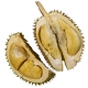 Cut Open Durian Fruit - Durio zibethinus