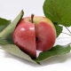 RedLove Apple Grown in Toonumba NSW Australia Display with leaves fruit recently cut open showing red to pink skin and flesh
