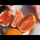 Growing a Cara Cara Orange Fruit Tree in Australia