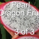 3 of 3 Taste and Uses of the Pearl Dragon Fruit