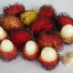 Rambutan fruit