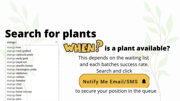 Click Notify Me When Available to secure your place in the queue for plants not in stock