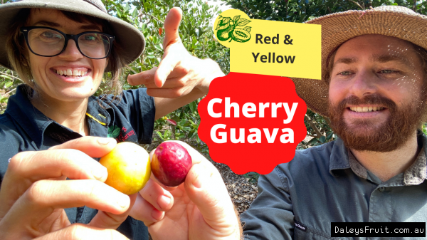 Erin and Daniel with a Yellow and Red Cherry guava