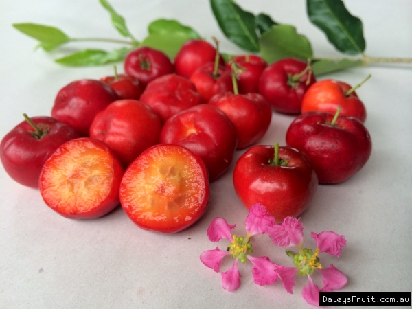 Acerola Cherries