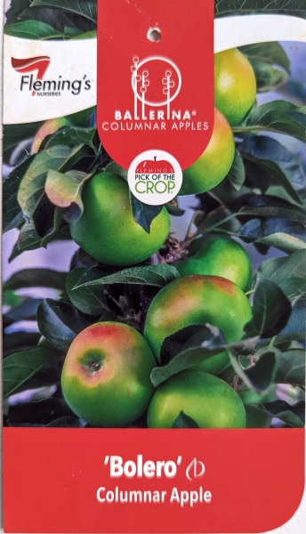 Apple - Bolero Ballerina