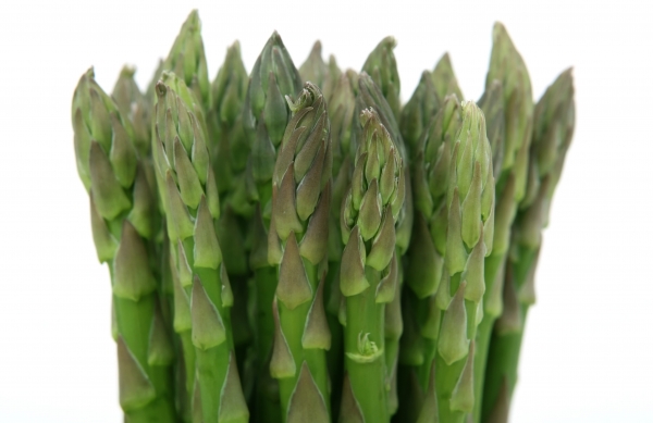 Asparagus Plants